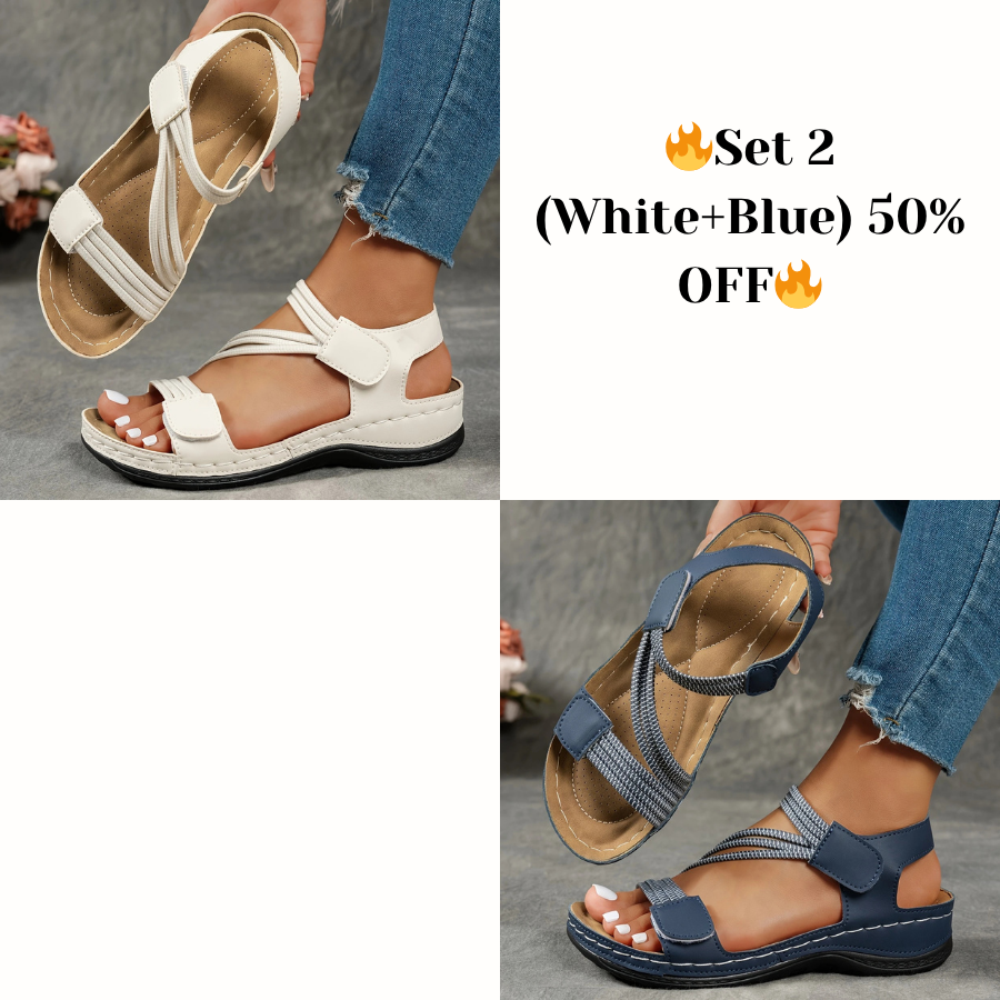 product img 68747f6b14d96a8bb88f1641.png product img 68747f6b14d96a8bb88f1641.png